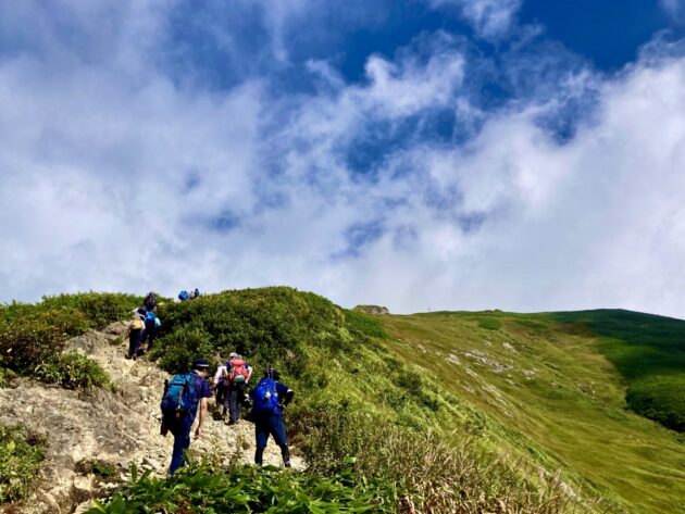 Runwayの料金・口コミは？特徴と注意点を解説のイメージ画像 3