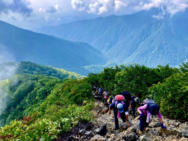 tough brawn（タフブローン）の料金・口コミは？特徴と注意点を解説のイメージ画像 2